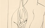 artespressione/balletti/thumb/thumb_nudo-maschile-con-coca-cola_145x91.jpg