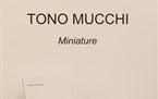 artespressione/tono-mucchi/thumb/thumb_tono_mucchi_022_145x91.jpg