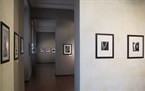 festival-manifestazioni-fiere/ffi-festival-fotografico-italiano/thumb/thumb_4-pigalle_145x91.jpg