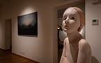 musei-istituzioni/art-monsters-2020-palazzo-penna/thumb/thumb_pier7284_145x91.jpg
