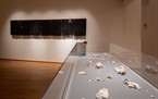 musei-istituzioni/art-monsters-2020-palazzo-penna/thumb/thumb_pier7316_145x91.jpg