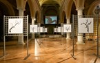 musei-istituzioni/auditorium-san-salvatore/thumb/thumb_pier0012_145x91.jpg
