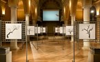 musei-istituzioni/auditorium-san-salvatore/thumb/thumb_pier0038_145x91.jpg