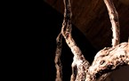 musei-istituzioni/origo-museo-di-san-francesco-montefalco/thumb/thumb_img_8059_145x91.jpg